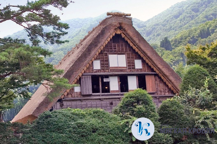 Соломенная кровля Соломенная кровля